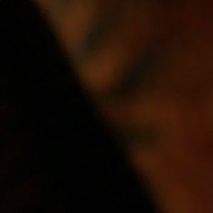 Meet your Posher, Gage